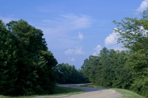 Driving up the Talladega Scenic Byway to the highest point in Alabama: Cheaha State Park.